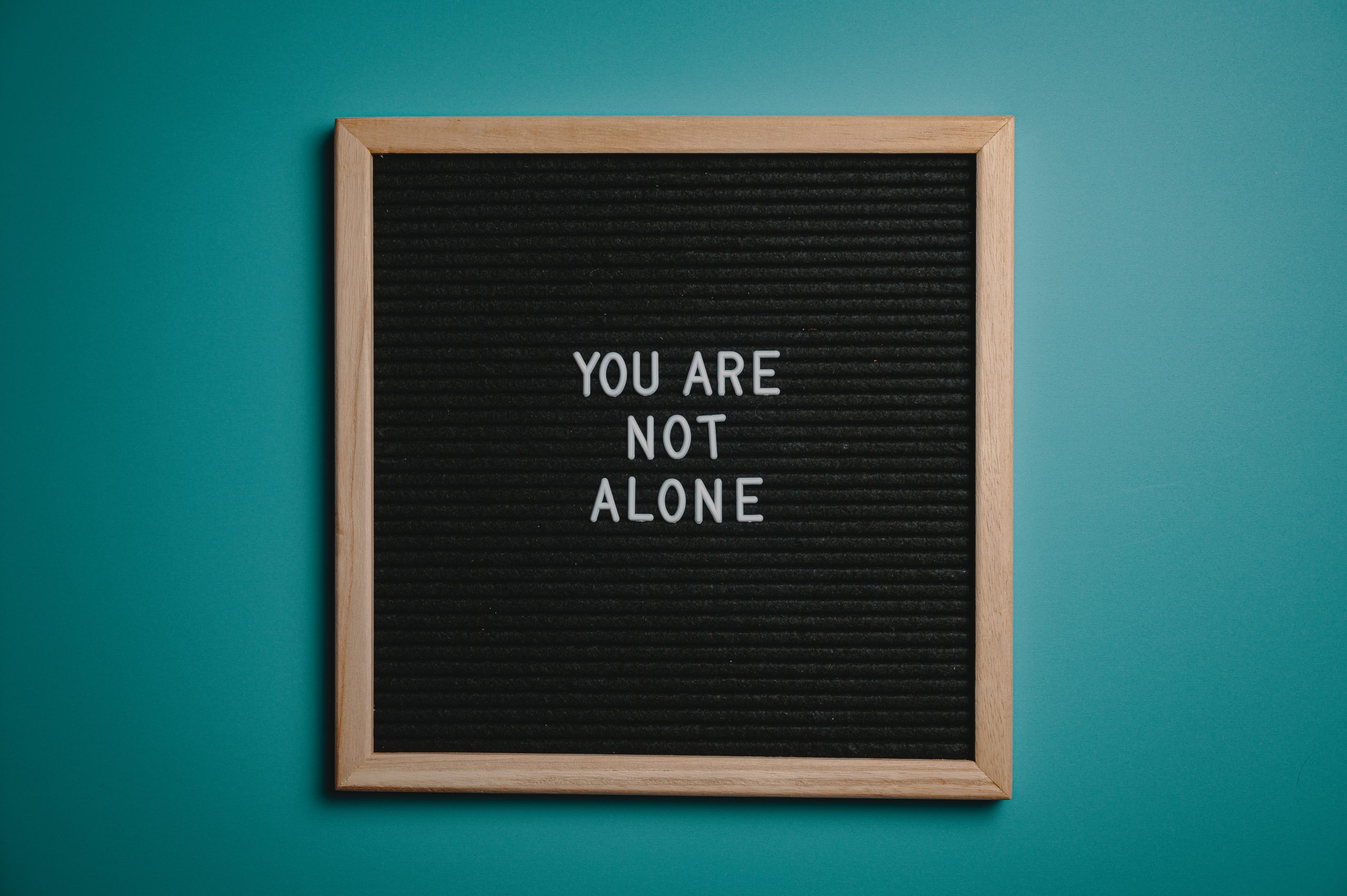 you-are-not-alone-quote-board-on-brown-wooden-frame-2821220