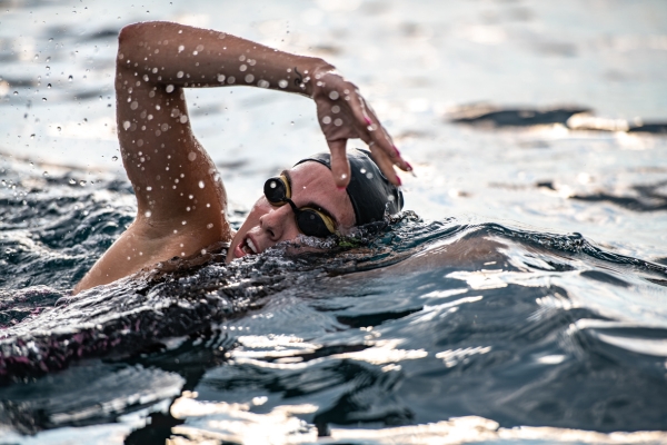 brighton swim