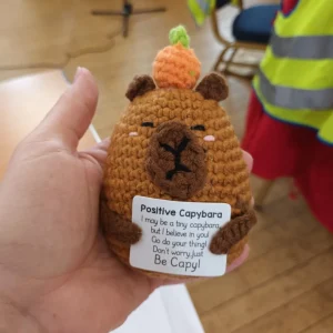 crochet capybara holding a sign reading: "Positive Capybara. I may be a tiny capybara but I believe in you! Go do your thing. Don't worry, just Be Capy!"