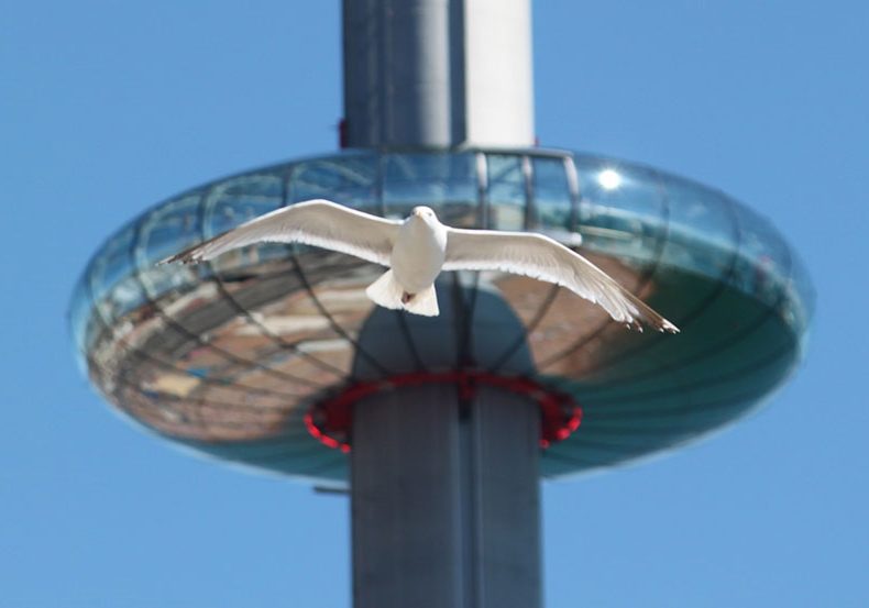 i360